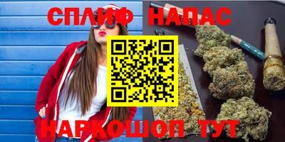 не бодяженный Сланцы