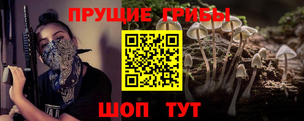 даркнет сайт  Галлюциногенные грибы мицелий  Галлюциногенные грибы MAGIC MUSHROOMS  Вход с VPN  Волоколамск 